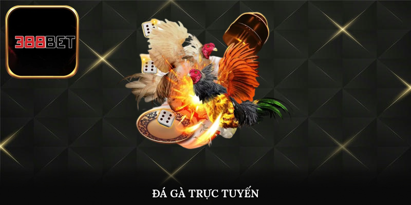 Trải nghiệm đá gà trực tuyến chuyên nghiệp tại 388bet